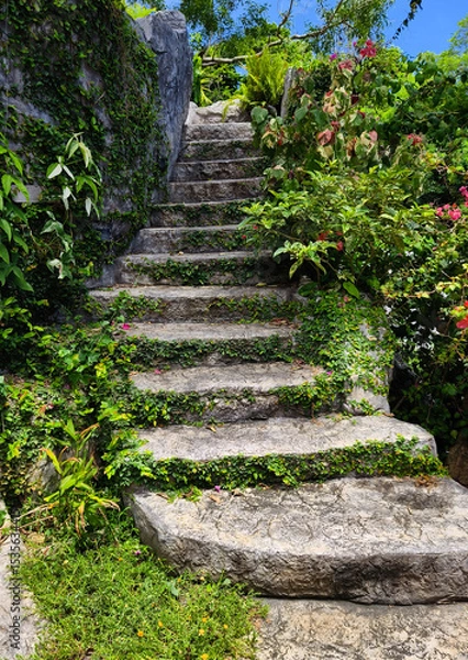 Fototapeta Stone staircase in a beautifully designed garden by an array of vibrant plants and colorful flowers