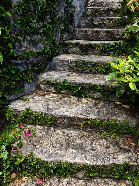 Fototapeta Stone staircase in a beautifully designed garden by an array of vibrant plants and colorful flowers