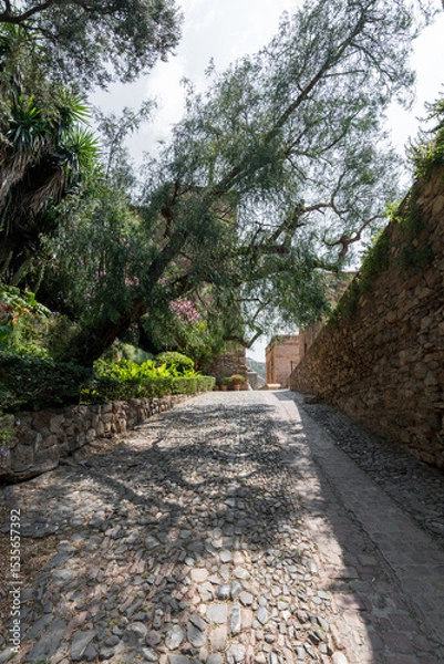 Fototapeta Shaded stone path inside the Alcazaba of Málaga, lined with lush greenery and old walls, leading to another corner of history.