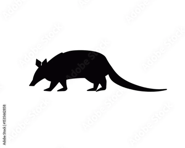 Obraz vector armadillo silhouette