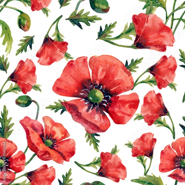 Fototapeta Large red poppy flowers, collection of watercolor flowers, seamless pattern on white background.
