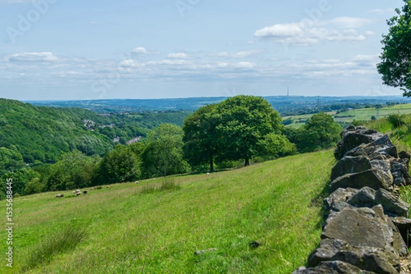 Fototapeta landscape with green grass and trees