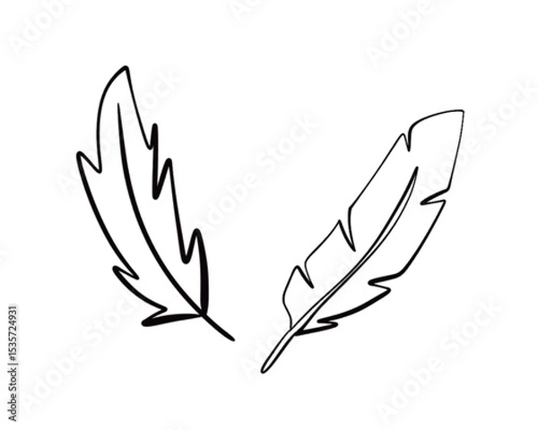 Obraz Vector Illustration of a Hand Drawn Feather Doodle