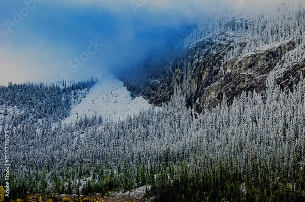 Obraz Grassy Lake. Alberta. Canada. Lake in the Rocky Mountains. Famous tourist routes.