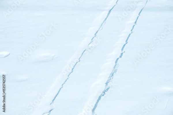 Obraz The snow is white and the ground is covered in tracks