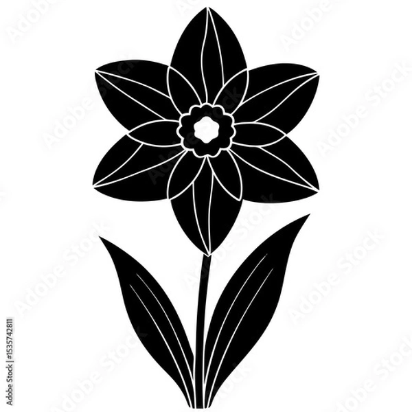 Fototapeta black and white flower isolated