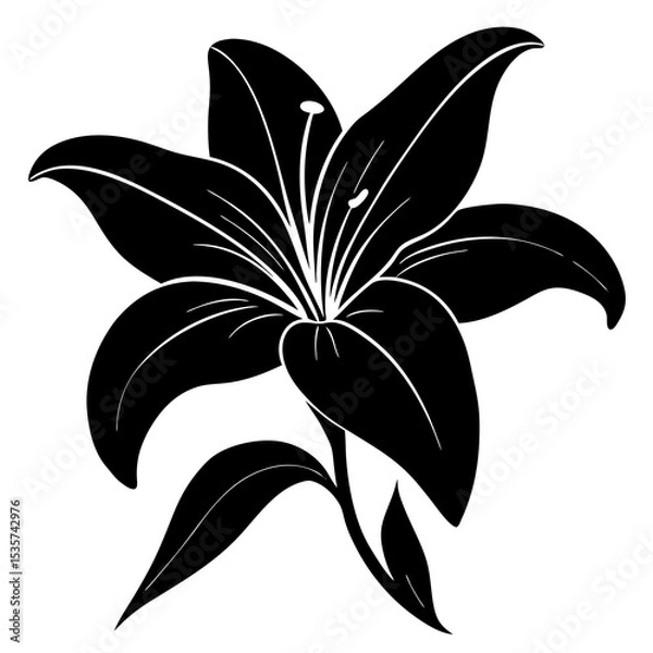 Obraz lily flower isolated on white