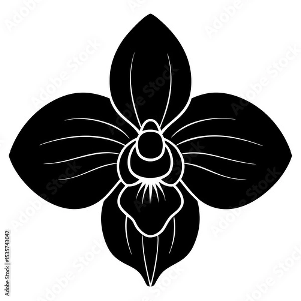 Obraz black and white flower