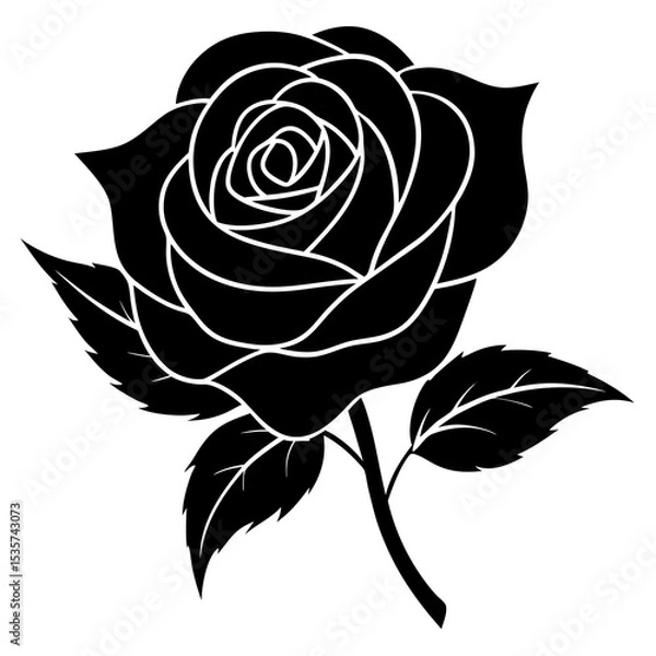 Obraz black rose vector illustration