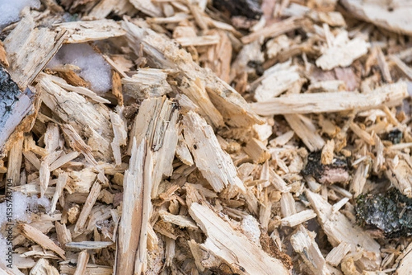 Obraz A pile of wood chips with a few pieces of bark on top