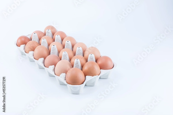 Fototapeta Big large tray of brown eggs isolated on white background. Eighteen eggs.