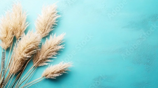 Fototapeta Light beige pampas grass on a vibrant teal background.
