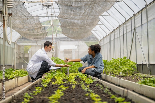 Fototapeta Young agriculture student learning seedling care in educational farming program in greenhouse lab with agronomist guiding plantation experiment, Education with real-life demonstration.