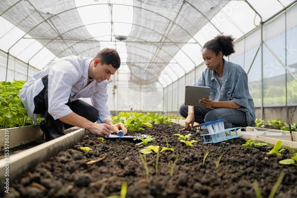 Fototapeta Practical agricultural studies of adolescent students, with scientists providing guidance, demonstrating hypotheses on soil sampling and data recording in greenhouse. Hands-on training in high school