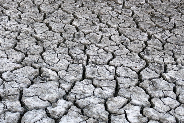 Obraz Deep splitting and cracking of the soil as a result of the decrease in near-water levels,