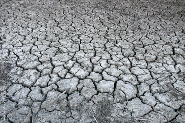 Obraz Deep splitting and cracking of the soil as a result of the decrease in near-water levels,
