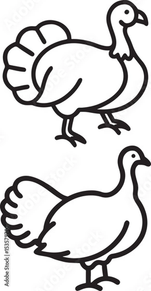 Obraz turkey-line-art-with-white-background.eps