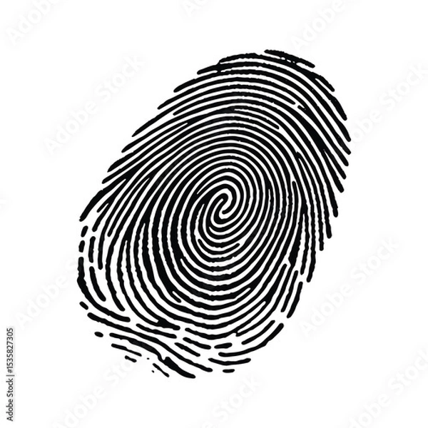Fototapeta Detailed Biometric Fingerprint Print for Authentication and Digital Security

