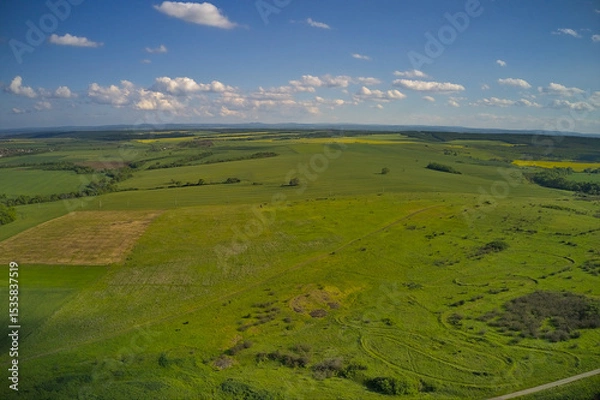 Fototapeta A drone view of agricultural green and yellow fields, panoramic landscape.