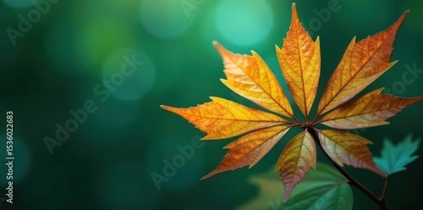 Fototapeta Golden leaf cluster against teal Subtle lighting, refined aesthetic , stylish, dark teal