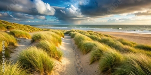 Obraz path through the dunes with beach grass on the North Sea coast