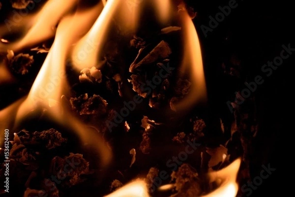 Fototapeta Close-up image of bright orange flames against a backdrop of black ash and burnt debris. A strong visual composition depicting the power, energy, and beauty of nature in the form of the fire element. 
