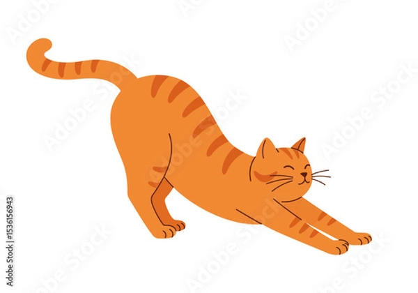 Obraz An orange tabby cat arches its back stretching its front legs forward with a closedeyes smile