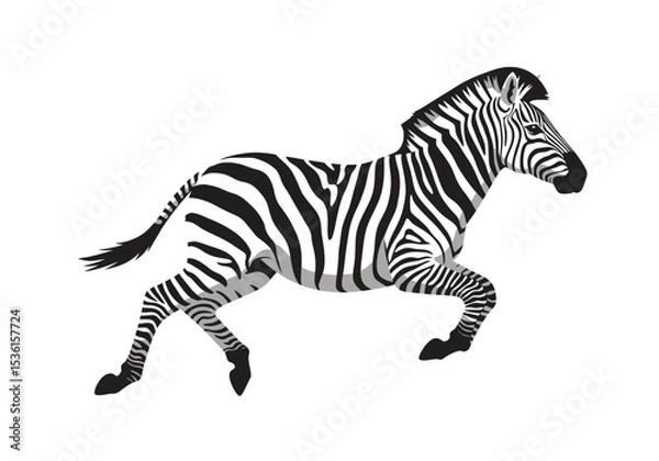 Obraz Running zebra illustration with black  white stripes