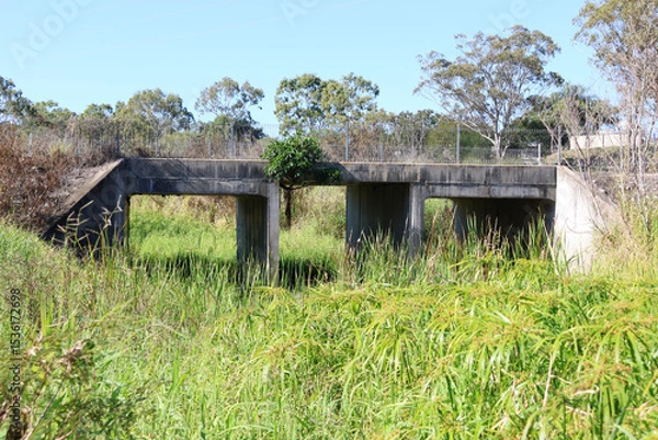 Fototapeta Bridge road over an overgrown creek surrounded by eucalyptus trees