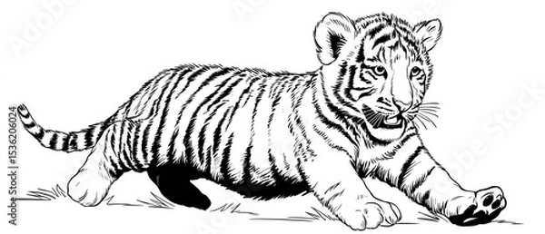 Fototapeta A black and white drawing of a tiger cub pouncing in a playful manner