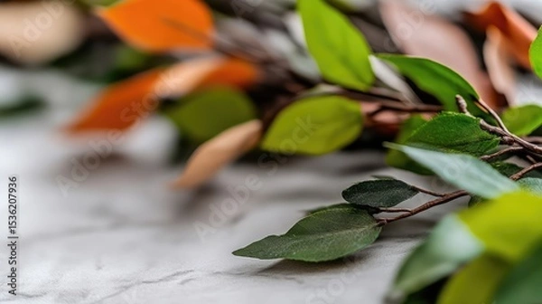 Obraz Autumn's Palette: A Gentle Transition of Leaf Colors on Marble Surface