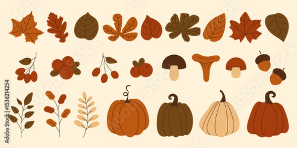 Fototapeta Collection of autumn elements pumpkins, mushrooms, leaves, berries and acorns. Set of fall season web graphics and cozy design themes. Vector illustration