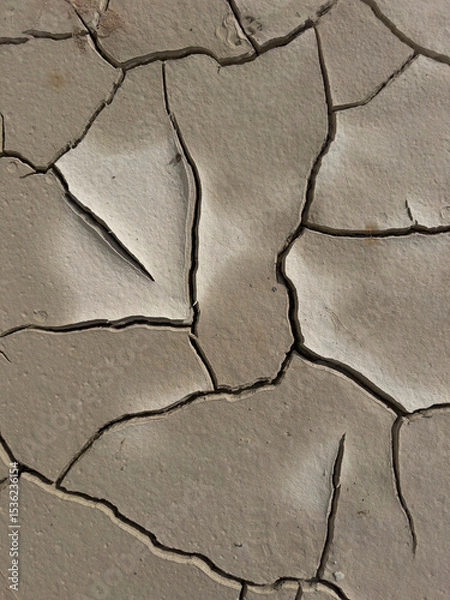 Obraz Cracks in dry earth, a powerful symbol of drought and climate change