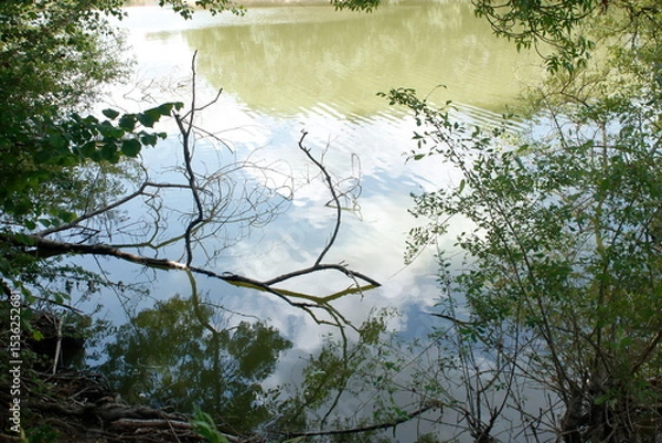 Obraz Reflets d'eau douce
