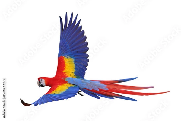 Fototapeta Colorful flying Scarlet Macaw parrot isolated on transparent background png file	