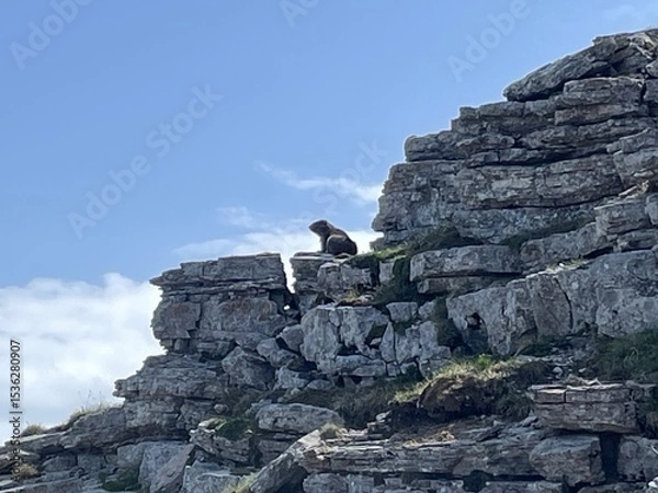 Fototapeta Wanderung im Rofangebirge