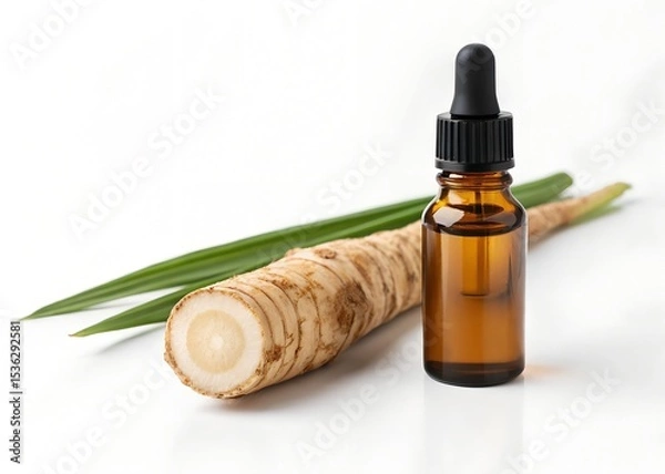 Obraz Calamus Root with Digestive Oil Bottle – Gut Soothing Theme. white background