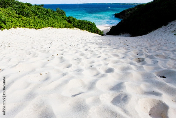 Obraz 南の島の海岸に続く白い砂の坂の向こうにエメラルドグリーンの海が見える