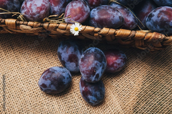 Fototapeta Juicy ripe plums of a rich blue color, lying in a basket on a rustic table, the emphasis on the texture of the peel and the freshness of the fruit