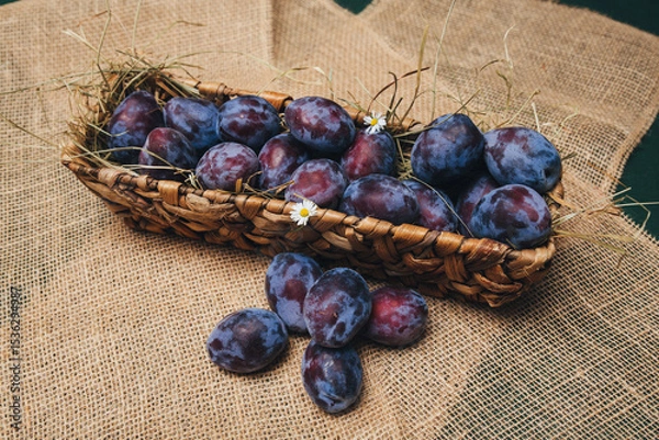 Fototapeta Ripe aromatic plums of a rich blue color, lying in a basket, the emphasis is on the texture of the peel and the freshness of the fruit close-up