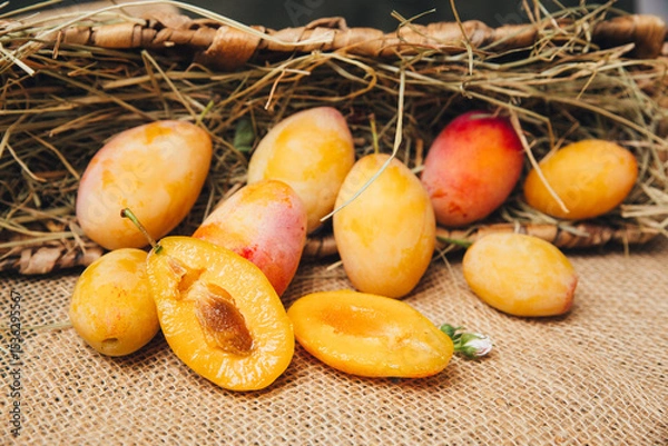 Fototapeta Juicy yellow plums in a wicker basket on a wooden table, natural light, emphasis on bright color and smooth skin close-up