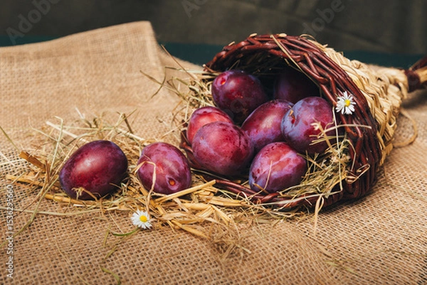 Fototapeta Juicy blue plums in a basket on a table, emphasis on the texture of the peel and natural composition