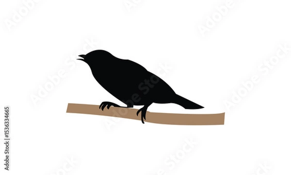 Fototapeta Ambon white-eye bird Silhouette Design  And Vector Illustration. 
