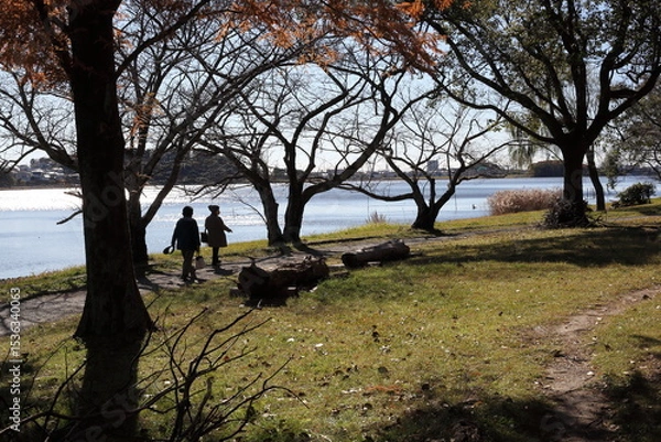 Fototapeta 湖畔を散策する二人連れ　