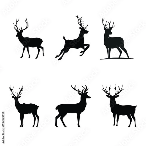 Obraz deer vector