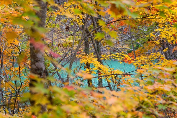 Obraz Bishamon-numa Pond is the largest and most popular pond. The colorful pond reflecting sunlight is a highlight of a visit to Goshikinuma Ponds, located in the Urabandai area, Fukushima, Japan