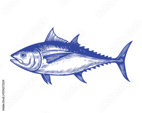 Fototapeta Vector line illustration of a tuna fish in blue color