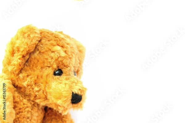 Fototapeta Teddy bear