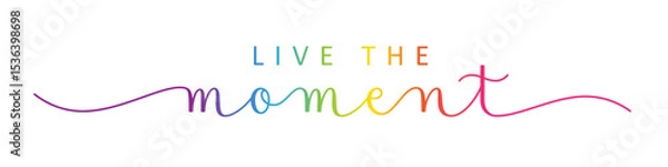 Fototapeta LIVE THE MOMENT black vector brush calligraphy banner with swashes