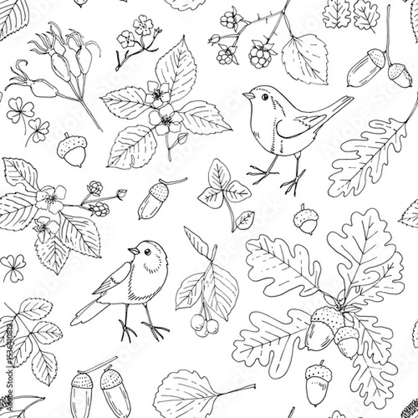 Obraz Nature motifs. Flowers, leaves. Vector pattern on white background. Line drawing